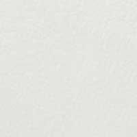 Color White for Baylor