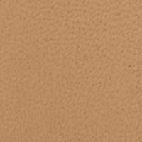 Beige color swatch