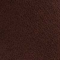 Dark Brown color swatch
