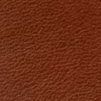 Luggage color swatch